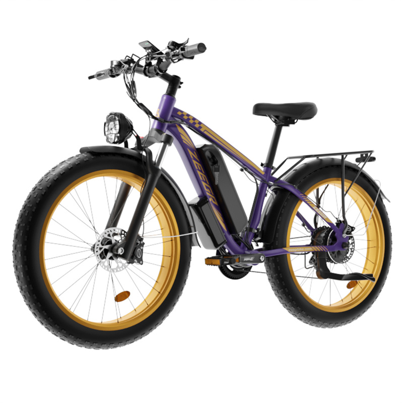 Electric Bicycle