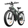 Other Electric Bike