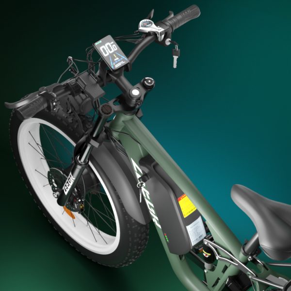 low price electric bike